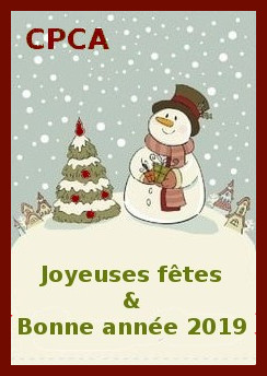 Joyeuses fêtes 2018 - Voeux 2019